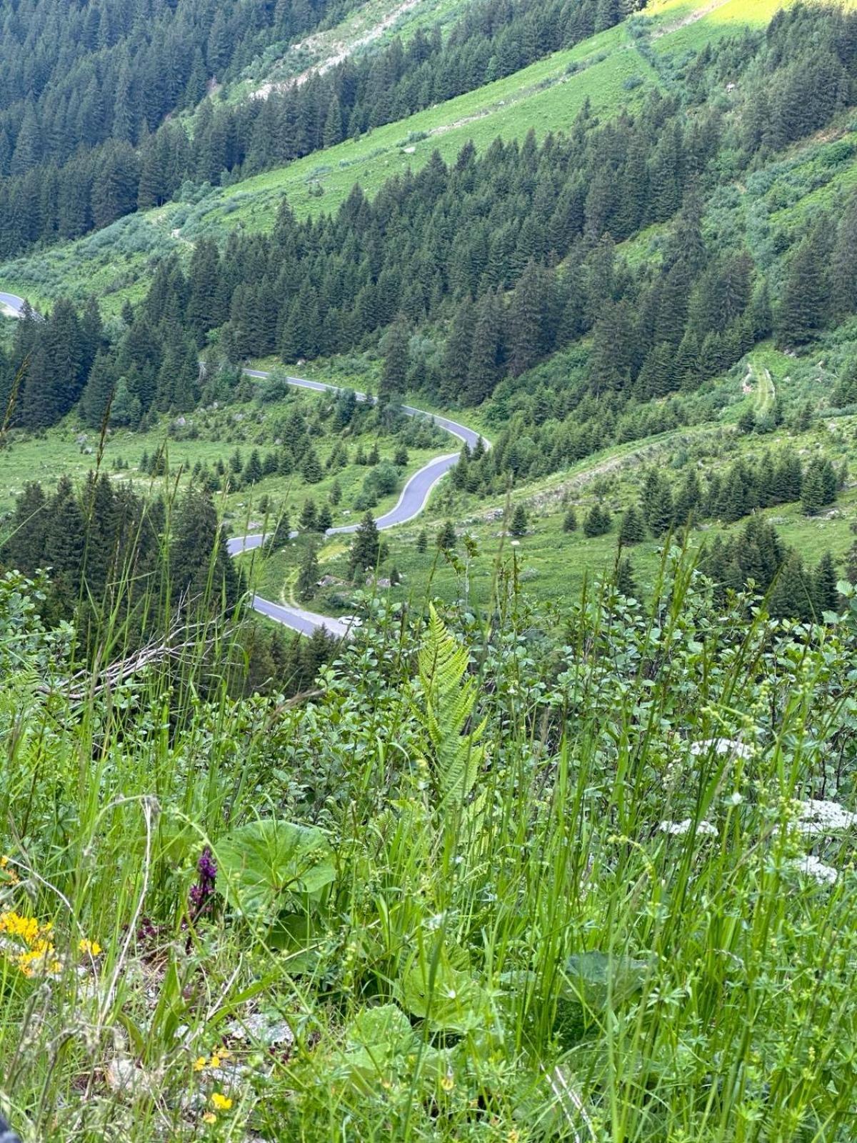 Apart Alpenpension Maderer Гашурн Екстер'єр фото